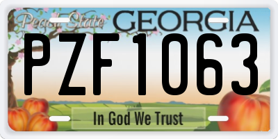 GA license plate PZF1063