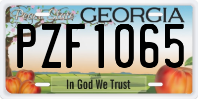 GA license plate PZF1065