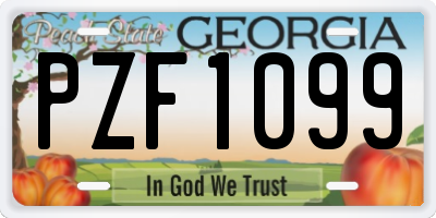 GA license plate PZF1099