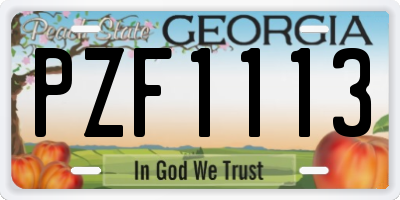 GA license plate PZF1113