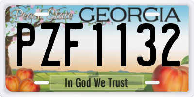 GA license plate PZF1132