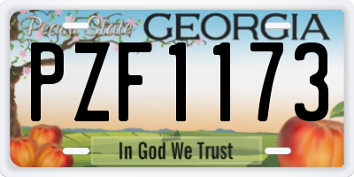 GA license plate PZF1173