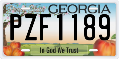 GA license plate PZF1189