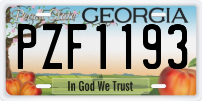 GA license plate PZF1193