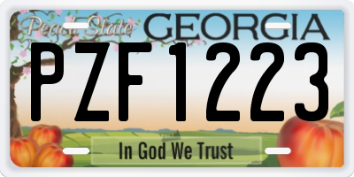GA license plate PZF1223