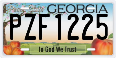GA license plate PZF1225