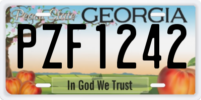 GA license plate PZF1242