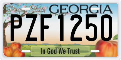 GA license plate PZF1250