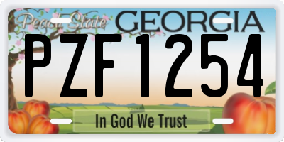 GA license plate PZF1254