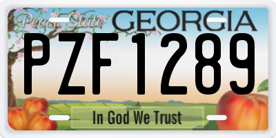 GA license plate PZF1289