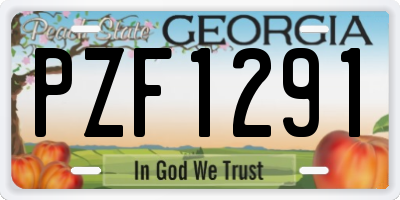 GA license plate PZF1291