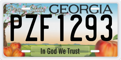 GA license plate PZF1293