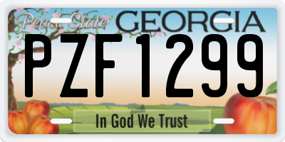 GA license plate PZF1299