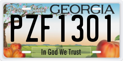 GA license plate PZF1301
