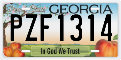 GA license plate PZF1314