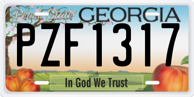 GA license plate PZF1317