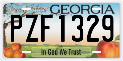 GA license plate PZF1329