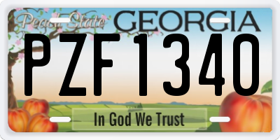 GA license plate PZF1340