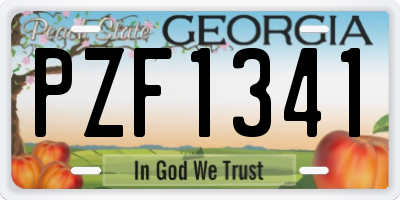 GA license plate PZF1341