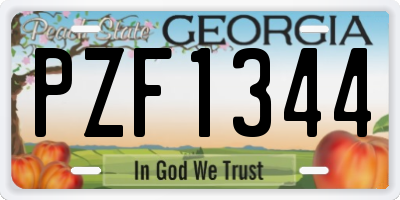 GA license plate PZF1344
