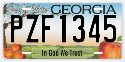 GA license plate PZF1345