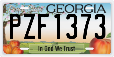 GA license plate PZF1373