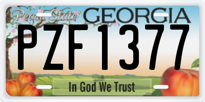 GA license plate PZF1377