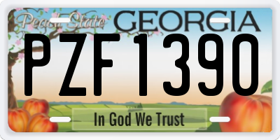 GA license plate PZF1390