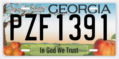 GA license plate PZF1391