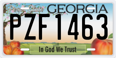 GA license plate PZF1463