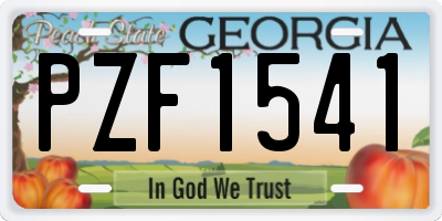 GA license plate PZF1541