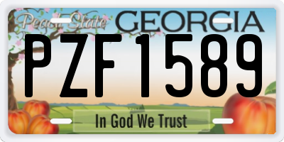 GA license plate PZF1589