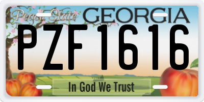 GA license plate PZF1616