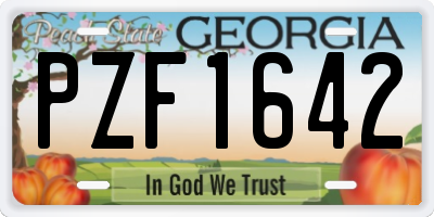 GA license plate PZF1642