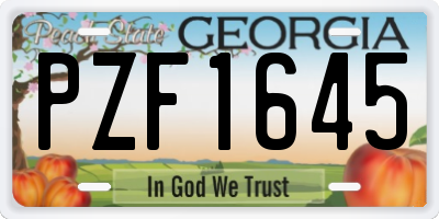 GA license plate PZF1645