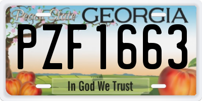 GA license plate PZF1663