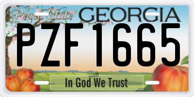 GA license plate PZF1665