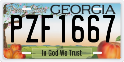 GA license plate PZF1667