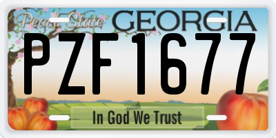 GA license plate PZF1677