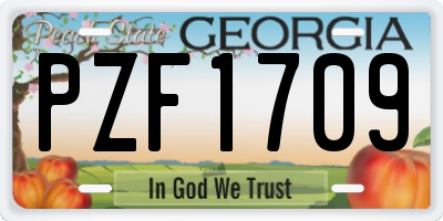 GA license plate PZF1709