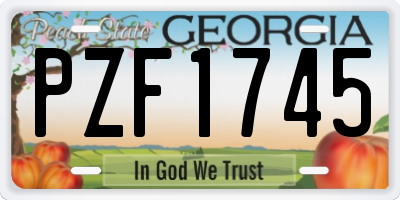 GA license plate PZF1745