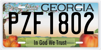 GA license plate PZF1802