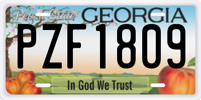 GA license plate PZF1809