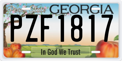 GA license plate PZF1817