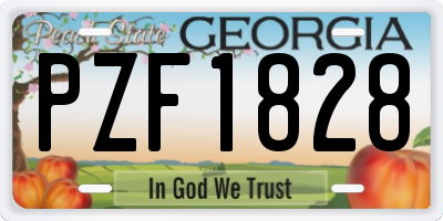 GA license plate PZF1828