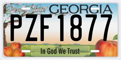 GA license plate PZF1877