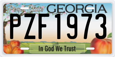 GA license plate PZF1973