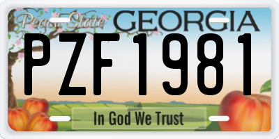GA license plate PZF1981