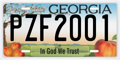 GA license plate PZF2001