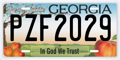 GA license plate PZF2029